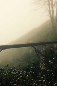 一步苹果版
